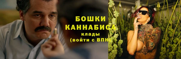 амф Осташков