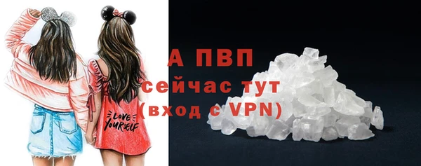 амф Осташков
