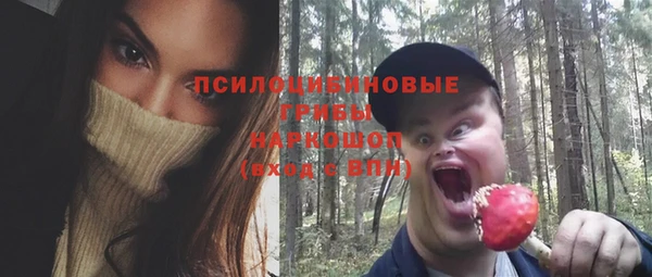 ПСИЛОЦИБИНОВЫЕ ГРИБЫ Остров
