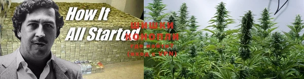 каннабис Осинники