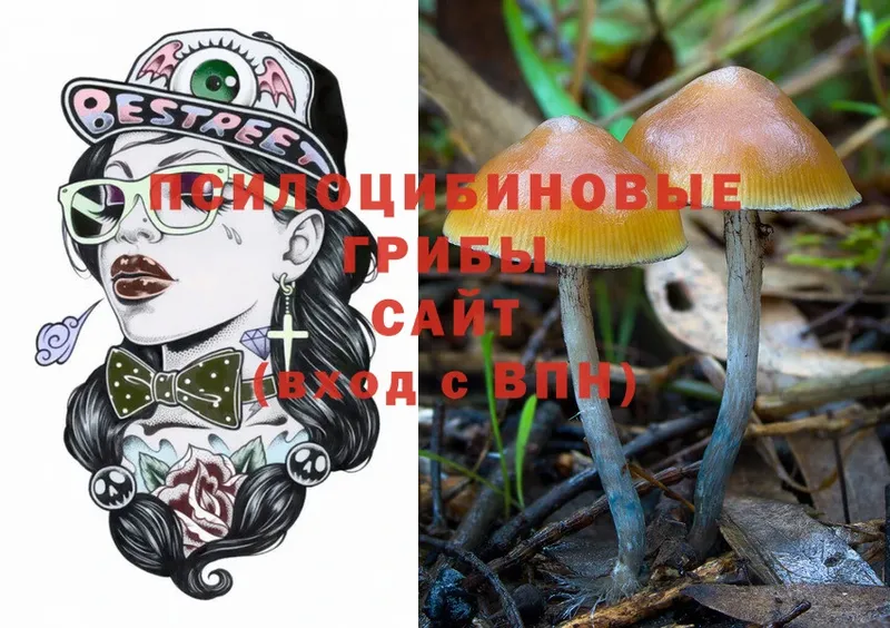 Псилоцибиновые грибы Psilocybe  Котово 