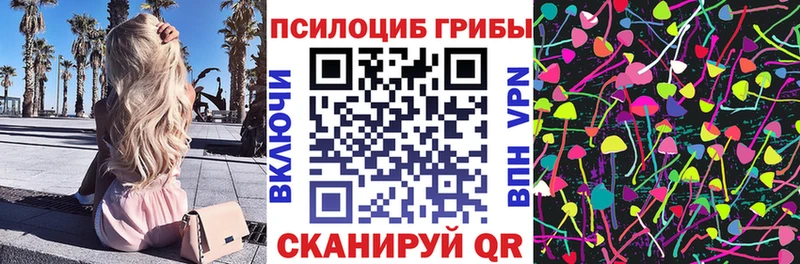 наркошоп  Котово  Псилоцибиновые грибы Magic Shrooms 